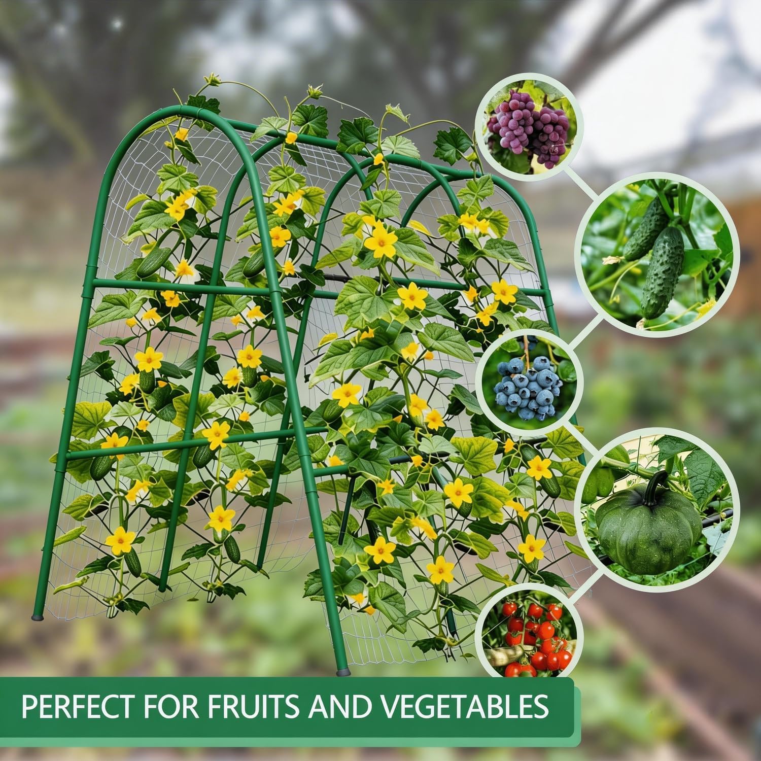 4x5.3FT Garden Arch Trellis fo - Plants X ulasan dan harga