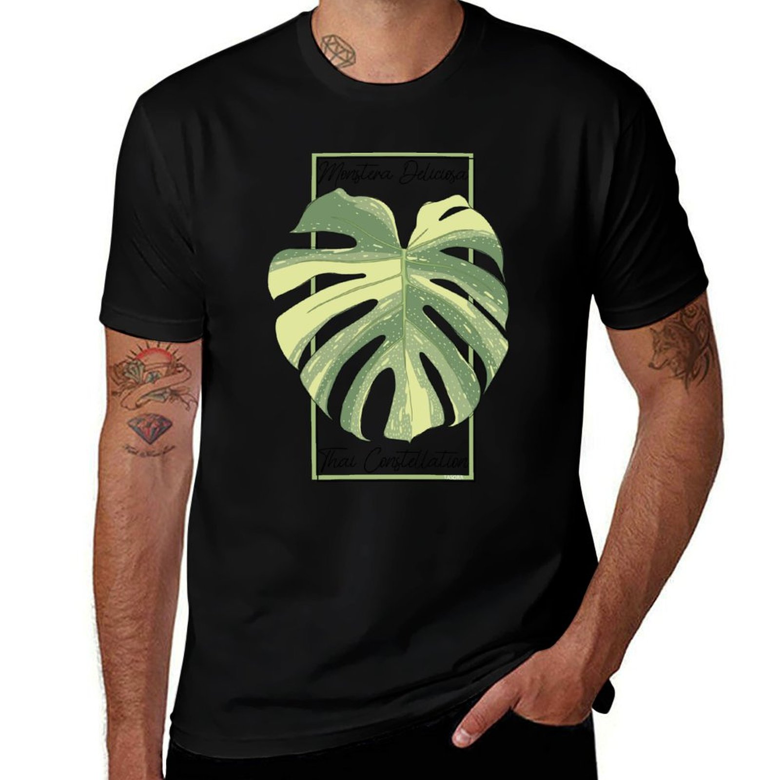Monstera Thai Constellation Bo - Monstera Thai Constellation ulasan dan harga