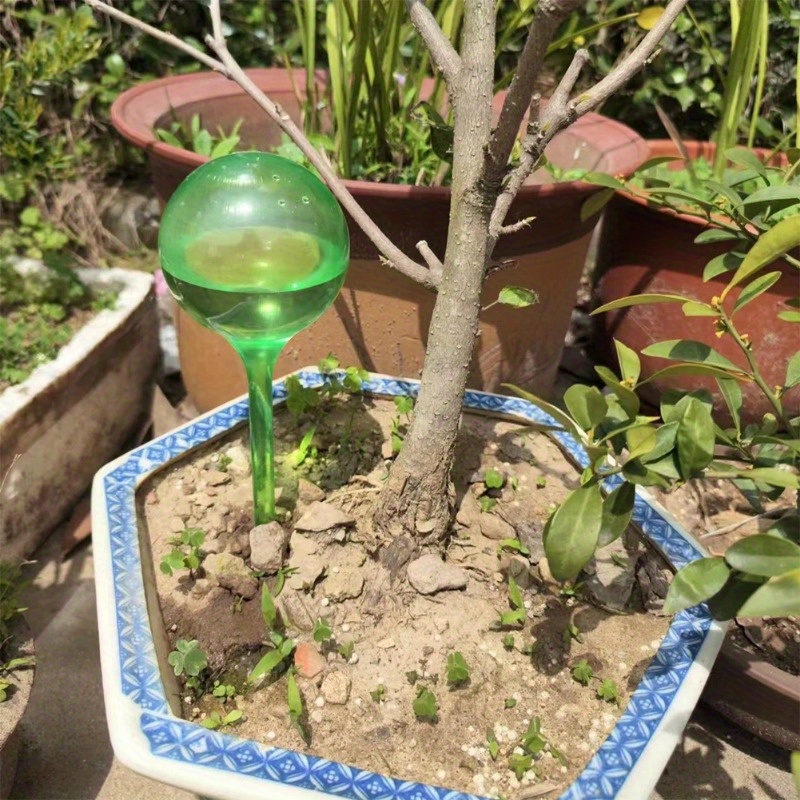 6PCS Indoor Plants Self Wateri - Plant Parent Kit ulasan dan harga