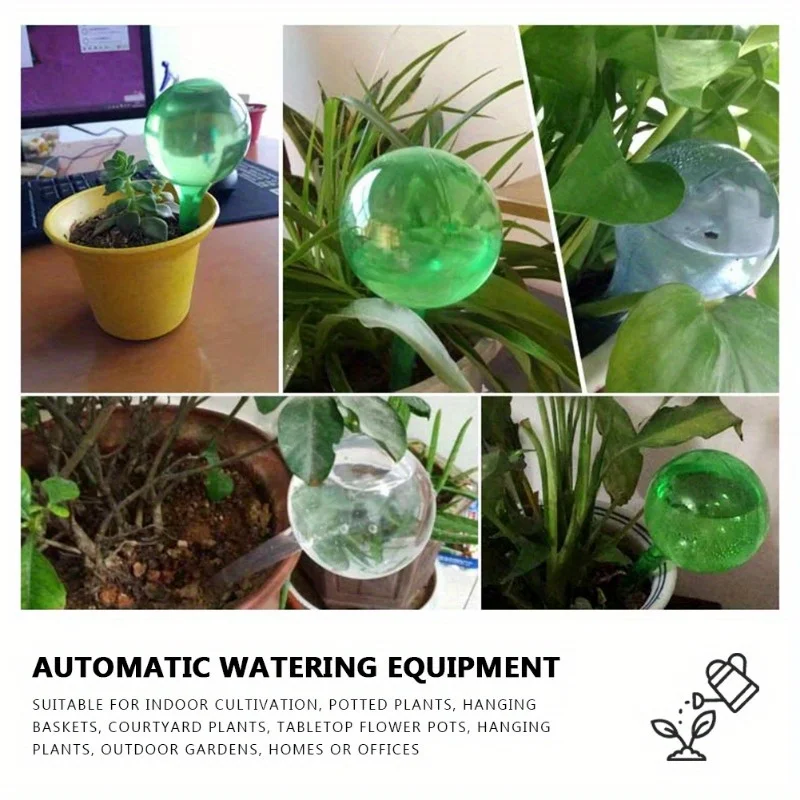 6PCS Indoor Plants Self Wateri - Plant Parent Kit ulasan dan harga
