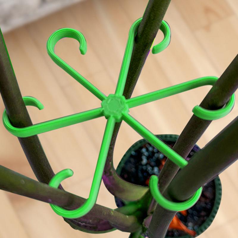 4pcs Climbing Plants Support C - Variegated Monstera Node ulasan dan harga