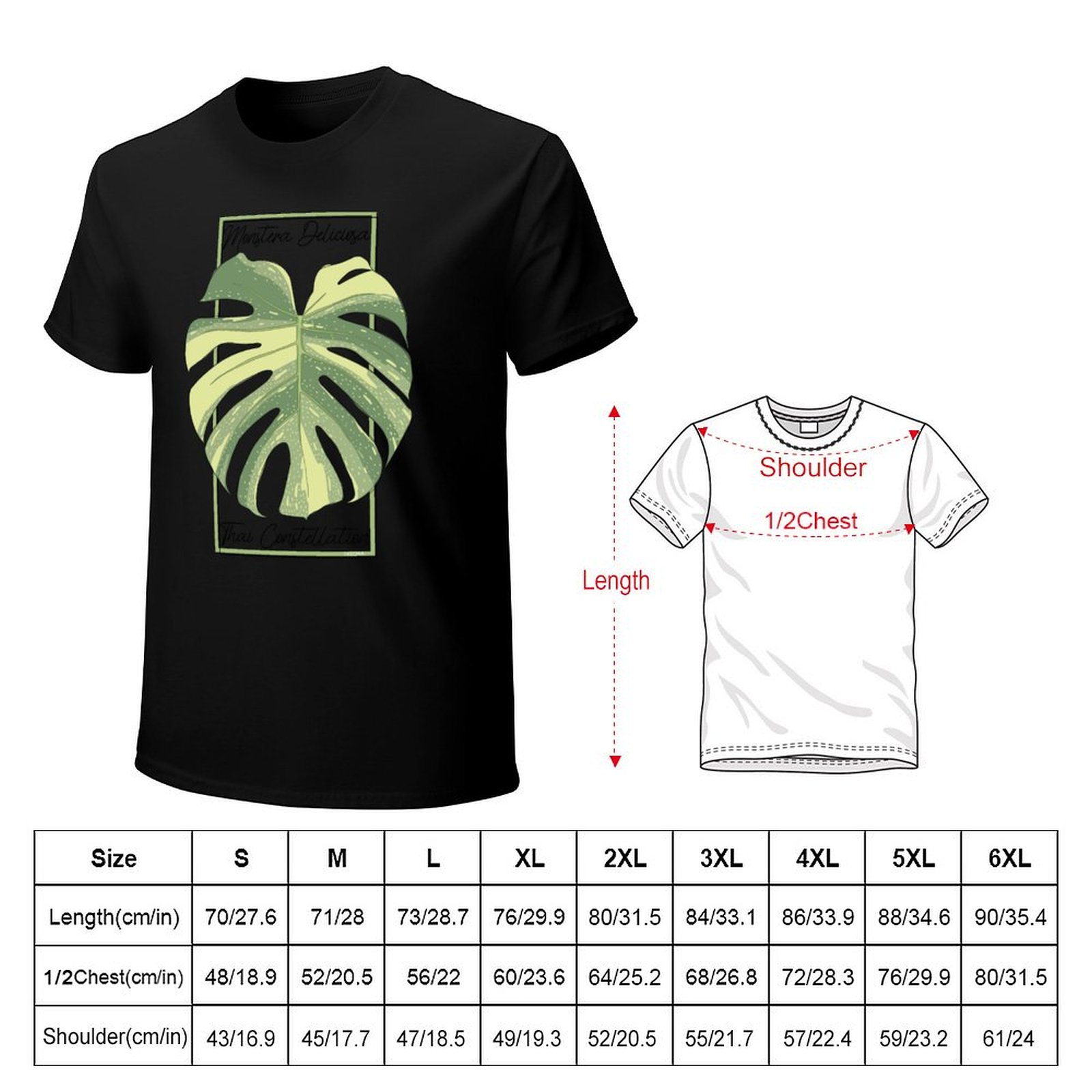 Monstera Thai Constellation Bo - Monstera Thai Constellation ulasan dan harga