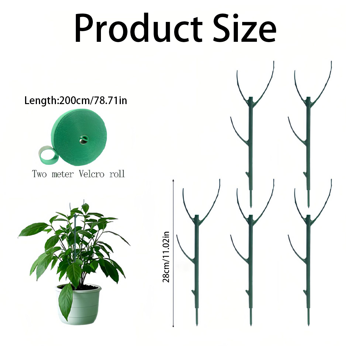 6 PCS Monstera Plant Support S - Variegated Monstera Node ulasan dan harga