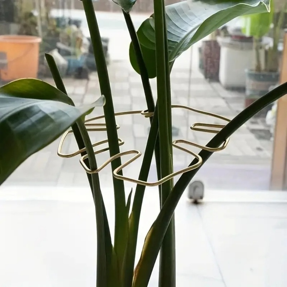 1Pc Large Plant Stand Indoor P - Variegated Monstera Node ulasan dan harga
