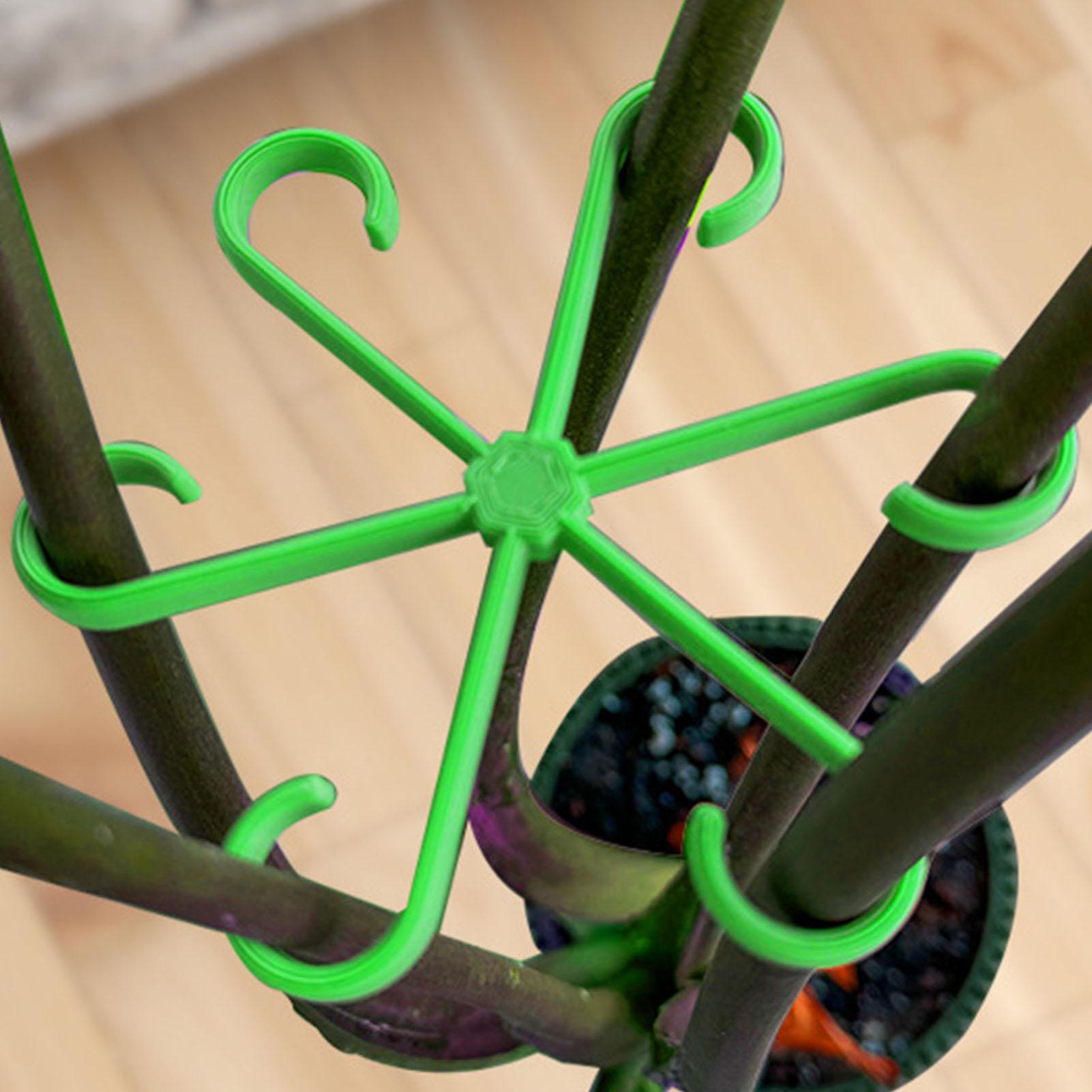 4Pcs Plants Stem Support Clips - Variegated Monstera Node ulasan dan harga
