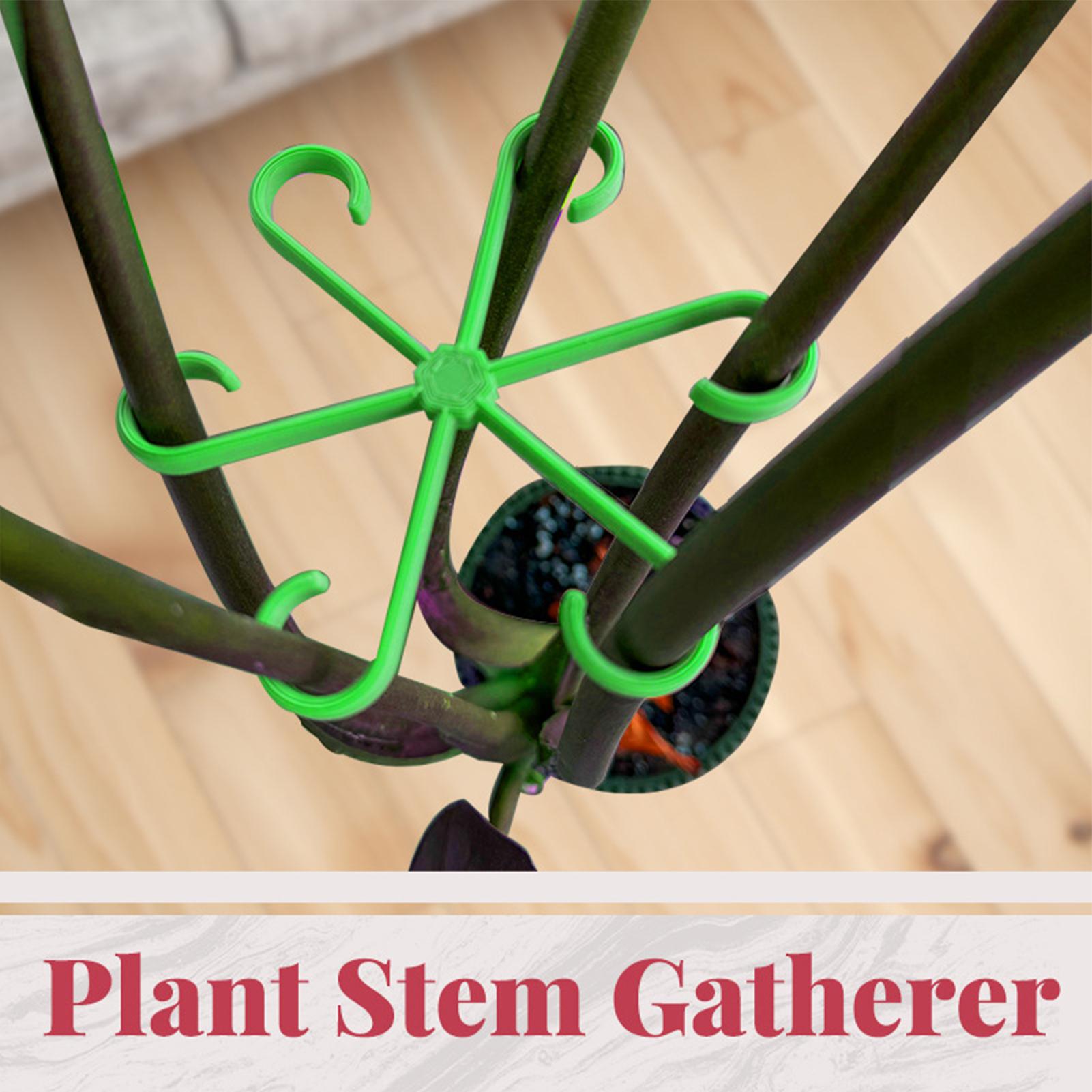 4Pcs Plants Stem Support Clips - Variegated Monstera Node ulasan dan harga